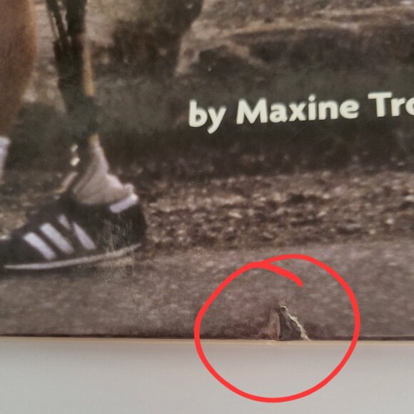 Terry Fox 2 New + Open DVDs - HC Book / Button / VHS Video - Picture 4 of 14